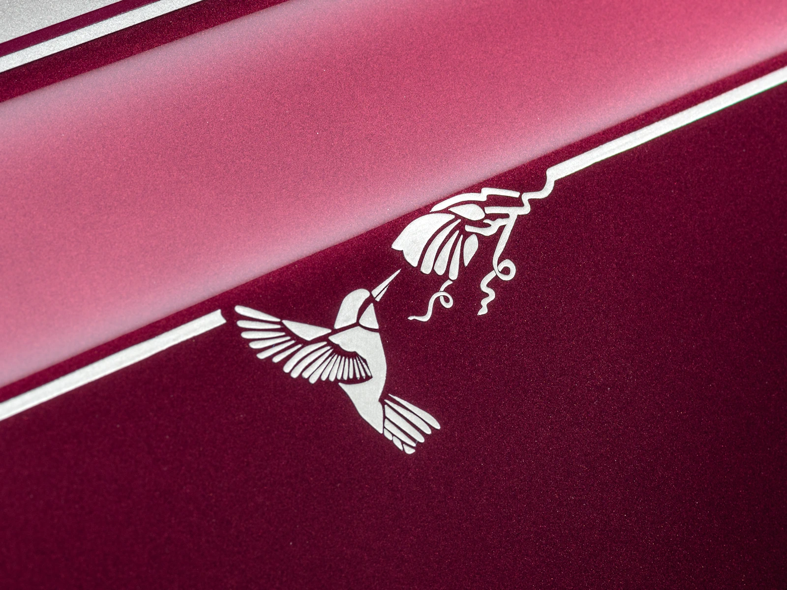 Unveiling Phantom Hummingbird