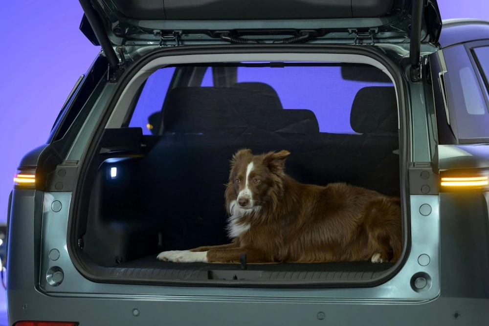 JAECOO 5 boot with the rear seats upright and a dog inside