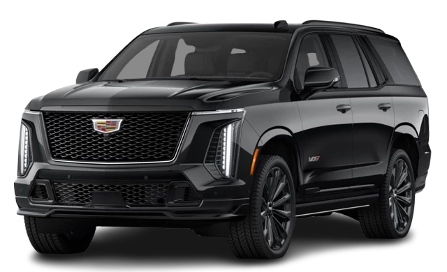 V8