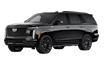 Sport Platinum