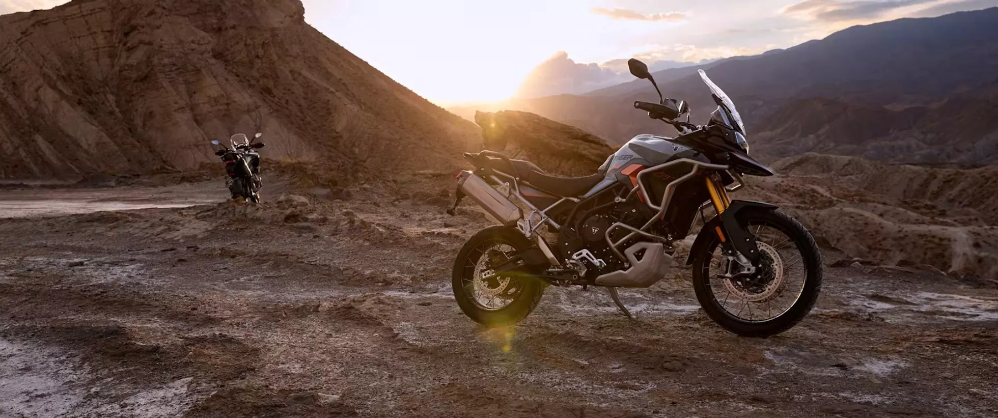 Tiger 1200 Desert Edition