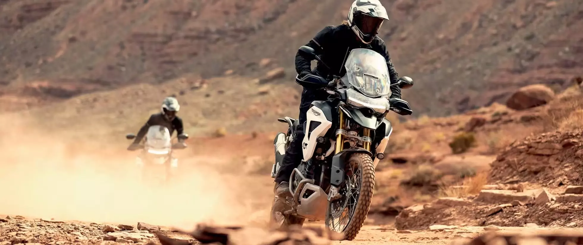 Tiger 1200 Rally Pro