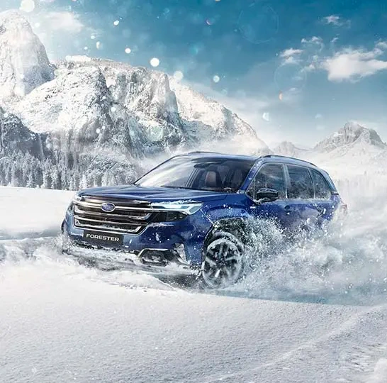 Subaru Forester viewed from the side